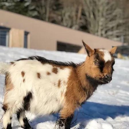 Du Petit Hohnack Labaroche